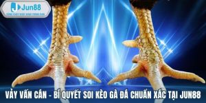 Vảy vấn cán